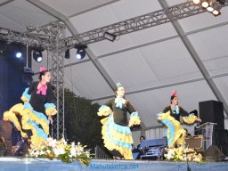 Festival de Folkore en Mula